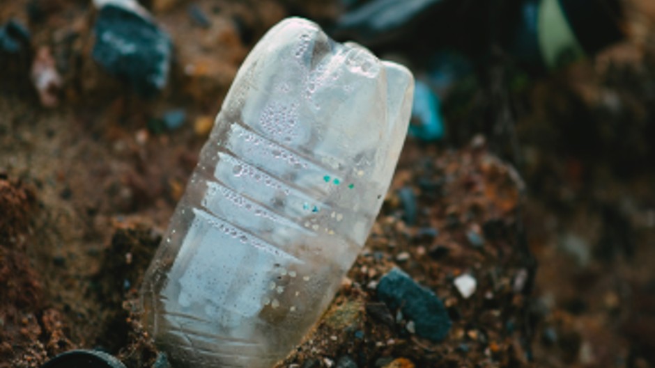 永利师生科研成果表明硒元素可抑制植物中的纳米塑料毒性