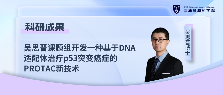 吴思晋课题组开发一种基于DNA适配体治疗p53突变癌症的PROTAC新技术