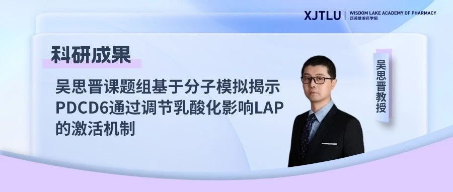 吴思晋课题组基于分子模拟揭示PDCD6通过调节乳酸化影响LAP的激活机制