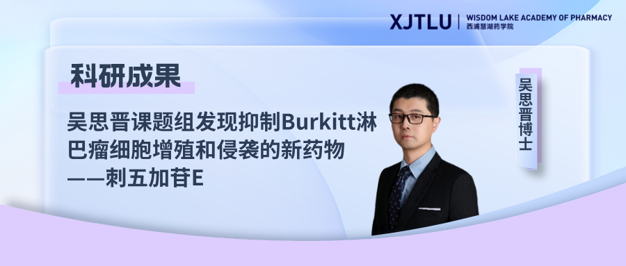 吴思晋课题组发现抑制Burkitt淋巴瘤细胞增殖和侵袭的新药物——刺五加苷E