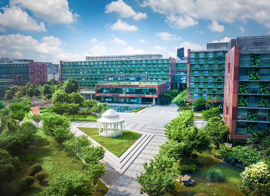 利物浦大学代表团访问永利集团yl6809官网 共谋合作新篇章