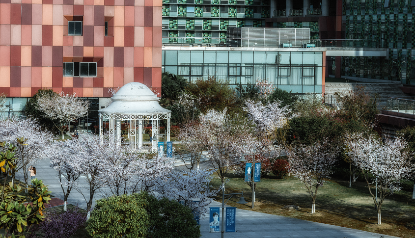永利集团yl6809官网第41次理事会召开 聚焦大学发展战略