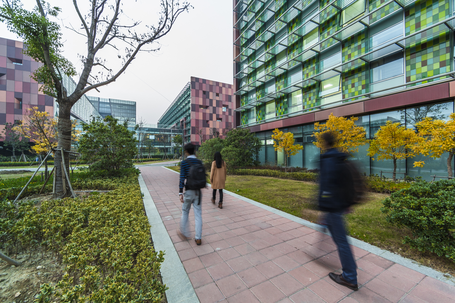 媒体聚焦：永利集团yl6809官网媒体报道回顾 （2019年5月）