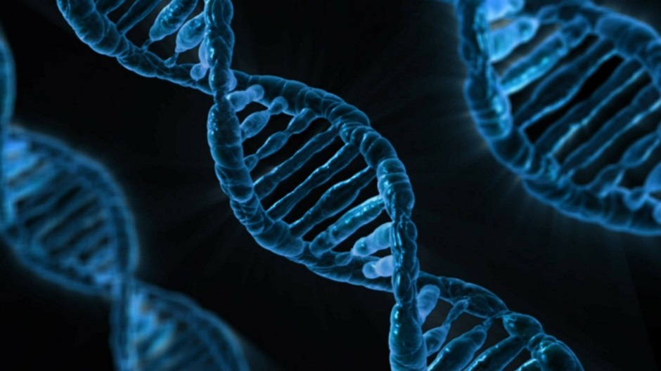 永利学者新模型破译生化修饰在不同RNA亚型上的分布