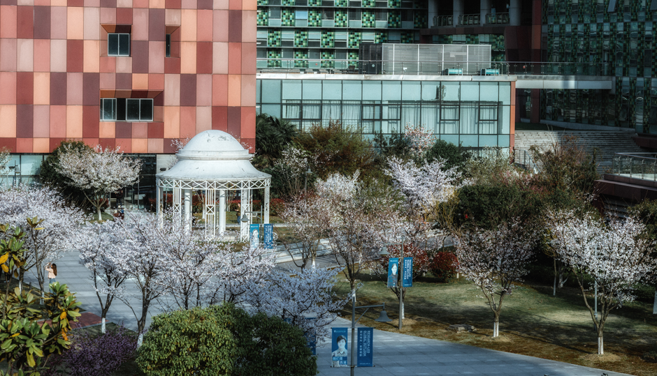 永利集团yl6809官网首登2021年泰晤士高等教育亚洲大学排名